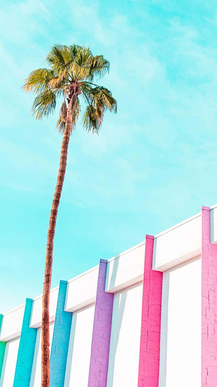 Palm Springs 750 X 1334 Wallpaper