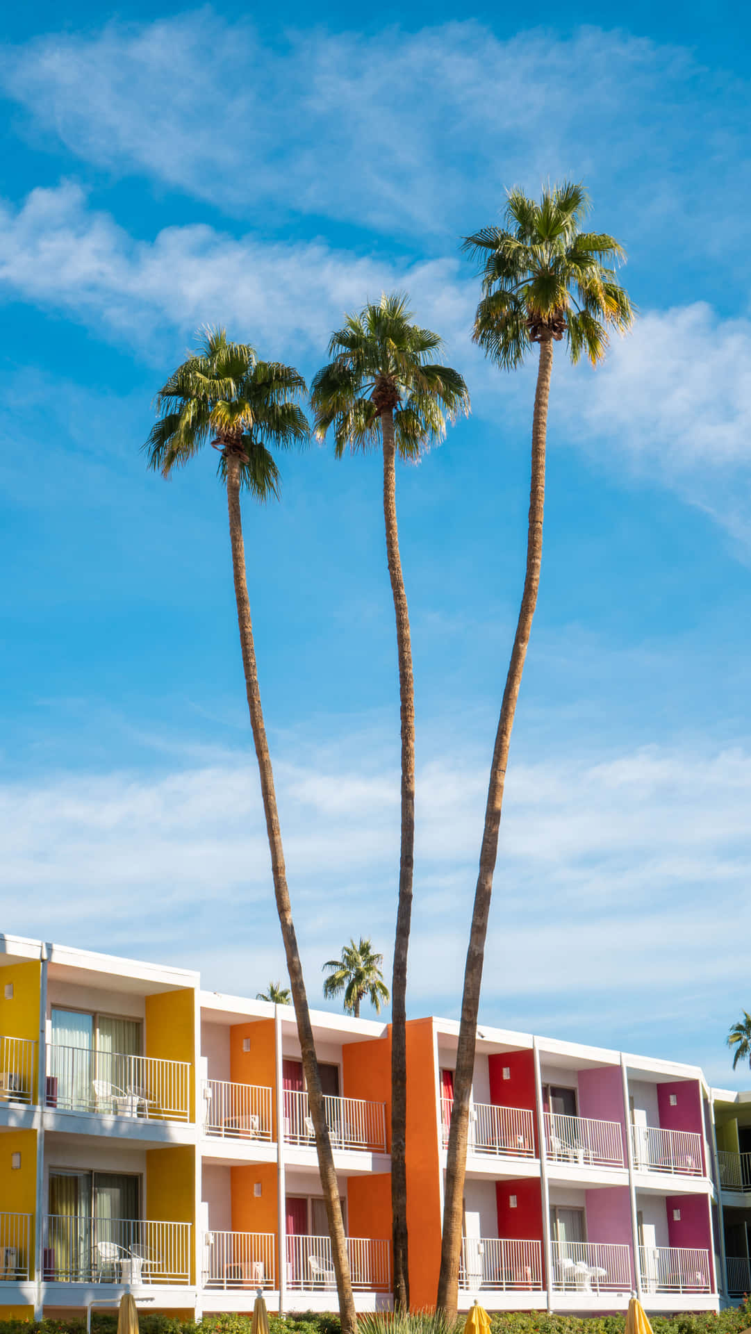 Bunteshotel In Palm Springs Wallpaper