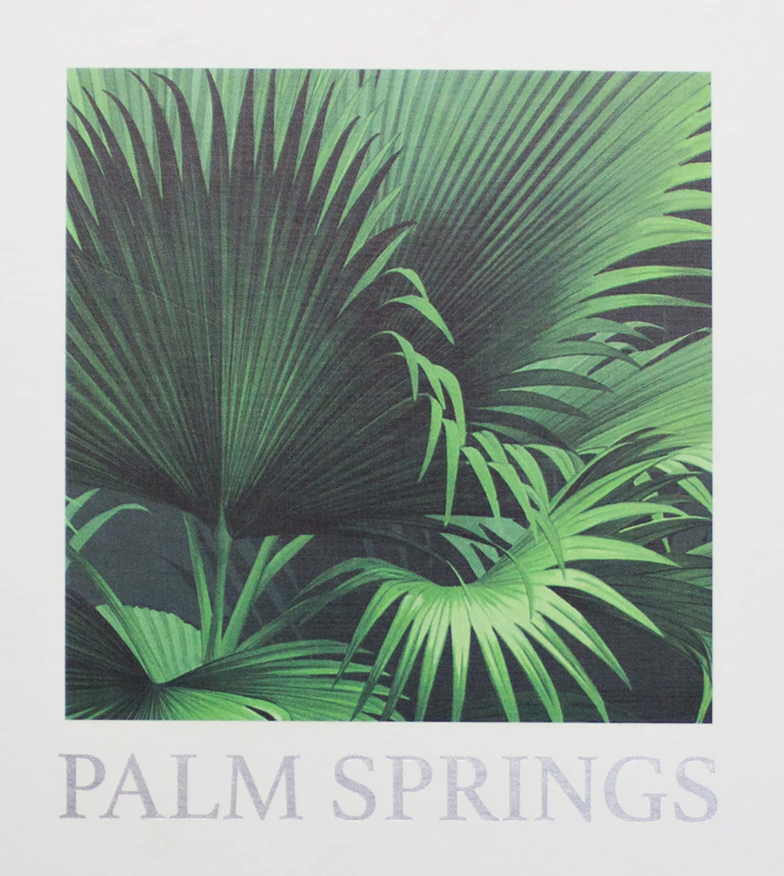 Palmsprings Lövkonst (computer/mobile Wallpaper) Wallpaper