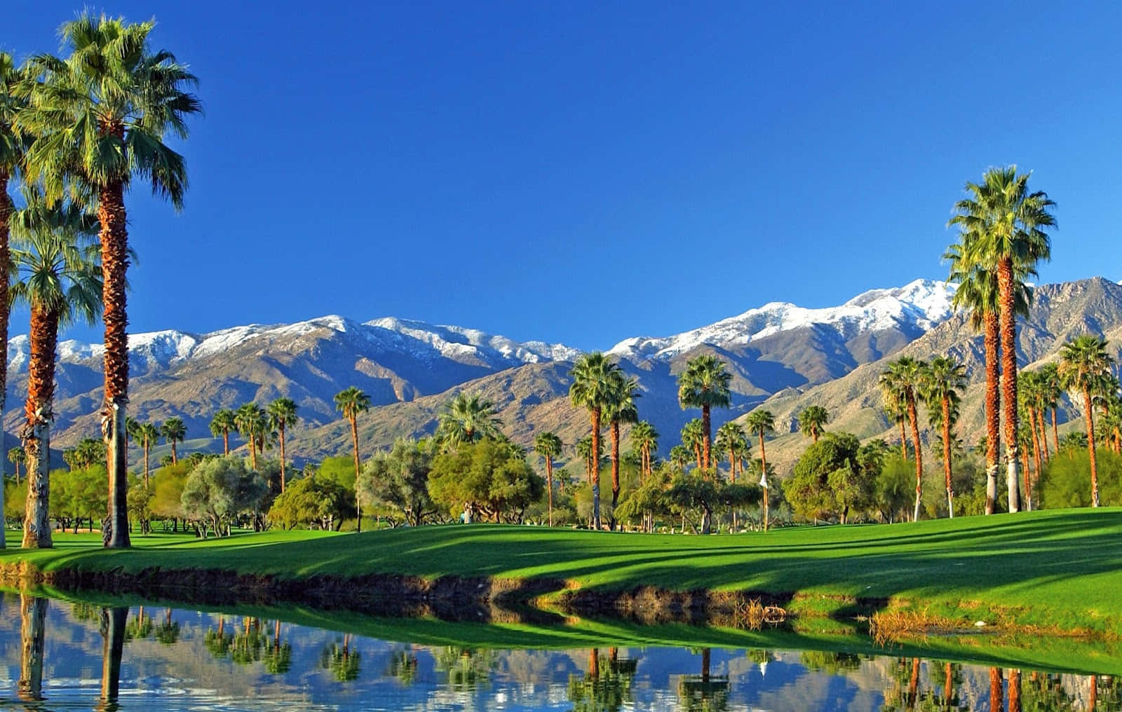 Clubde Golf Mesquite En Palm Springs. Fondo de pantalla