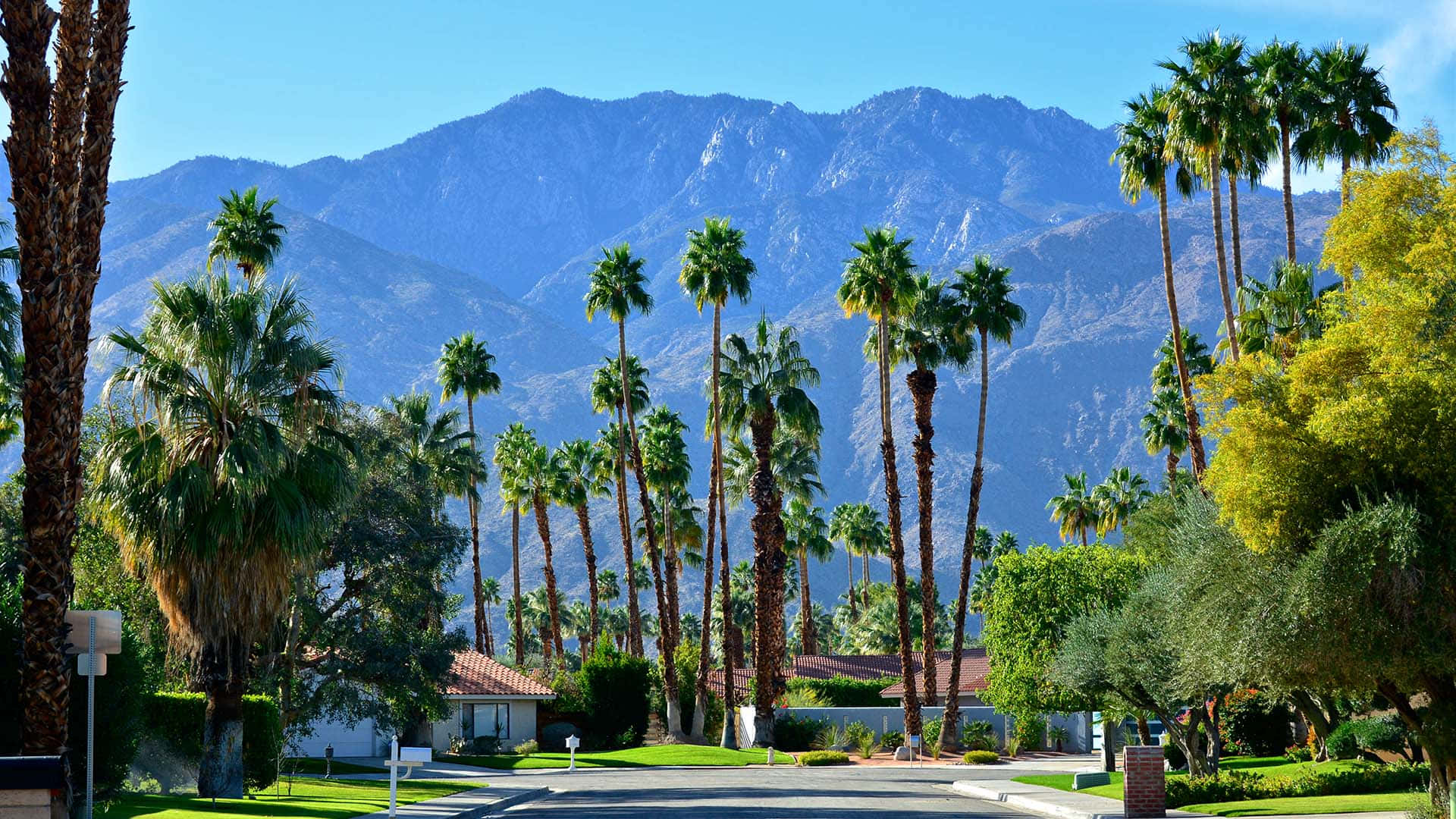 30k Palm Springs Pictures  Download Free Images on Unsplash