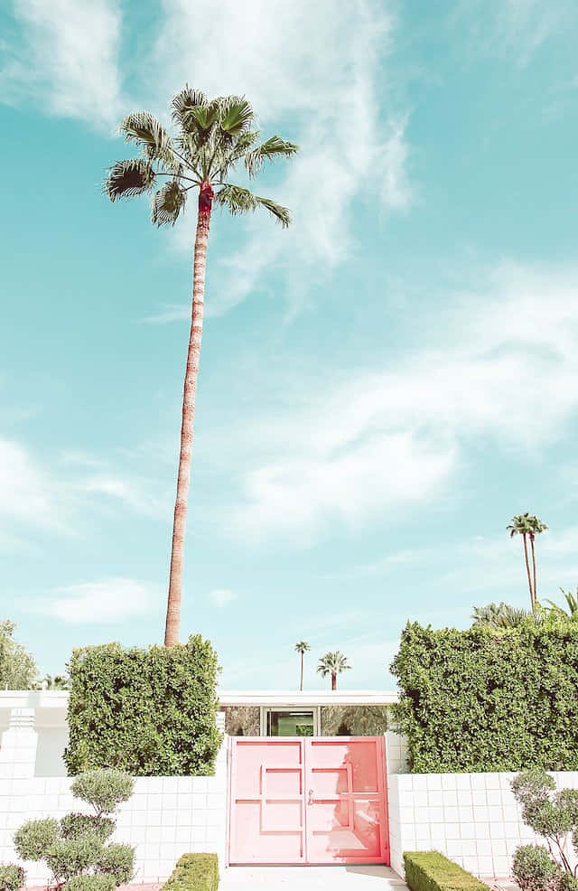 Palm Springs 640 X 986 Wallpaper