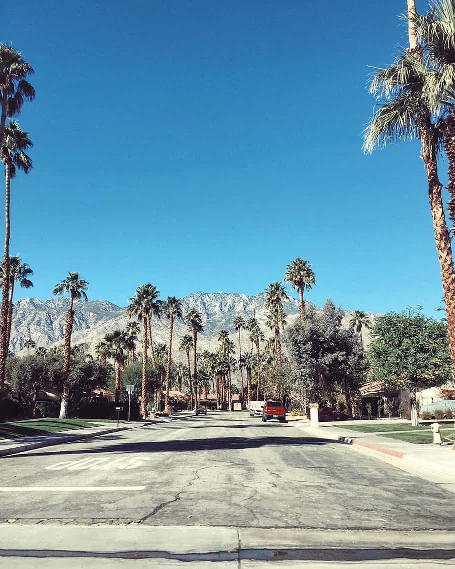 Stradadi Palm Springs Sfondo