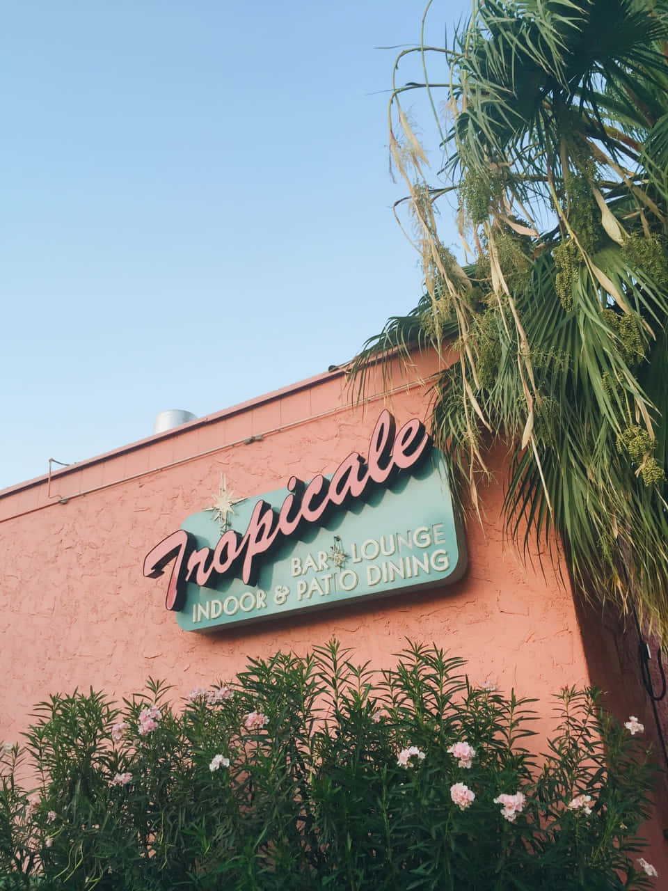Palm Springs, Restaurang Och Lounge På Tropicale Wallpaper