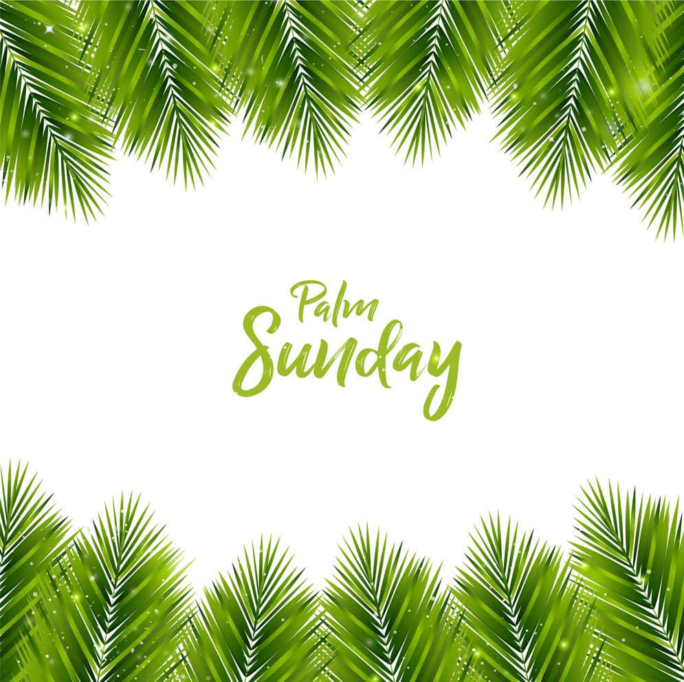 Caption: Captivating Palm Sunday Background