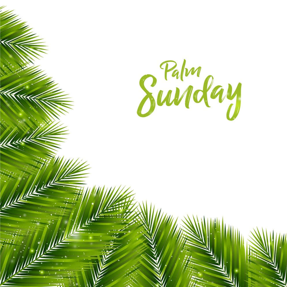 Aesthetic Palm Sunday Text Background