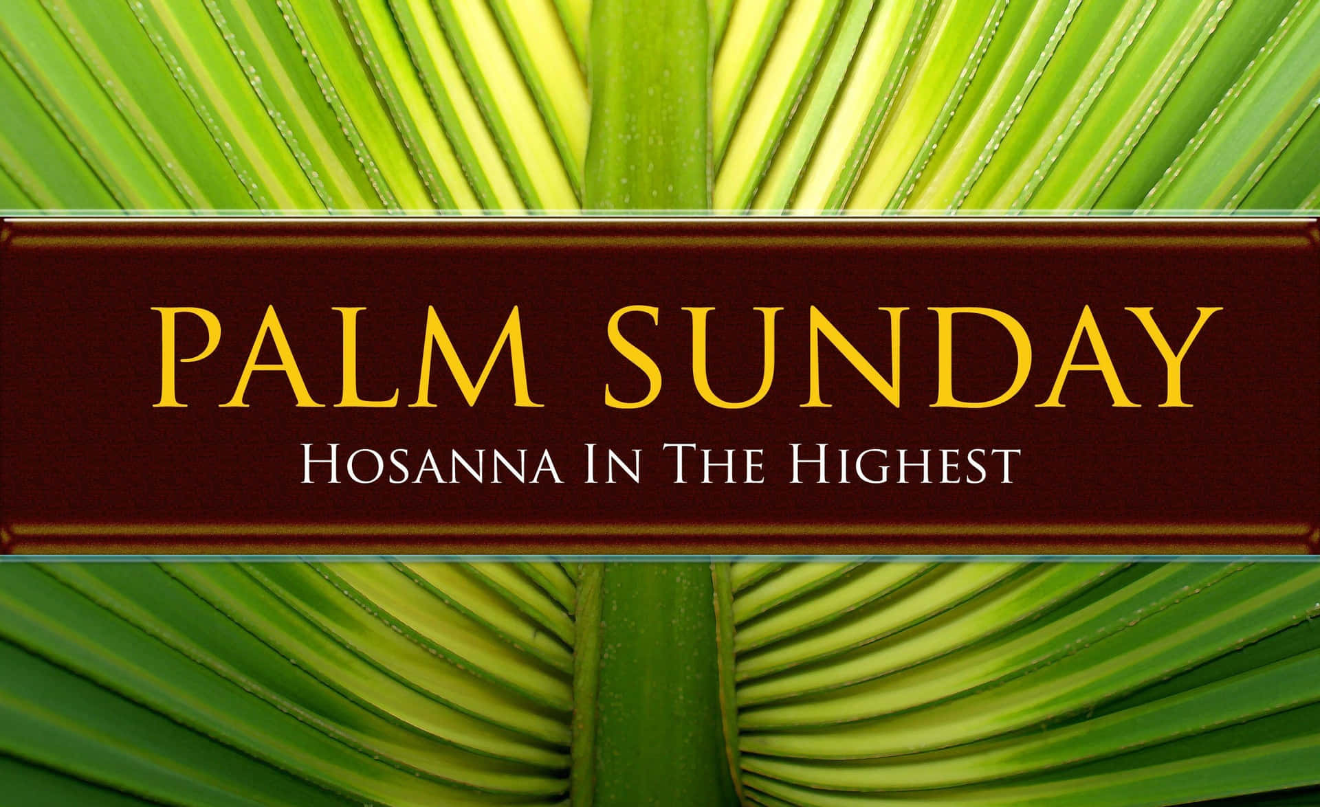 Palm Sunday Text On Maroon Scroll Background