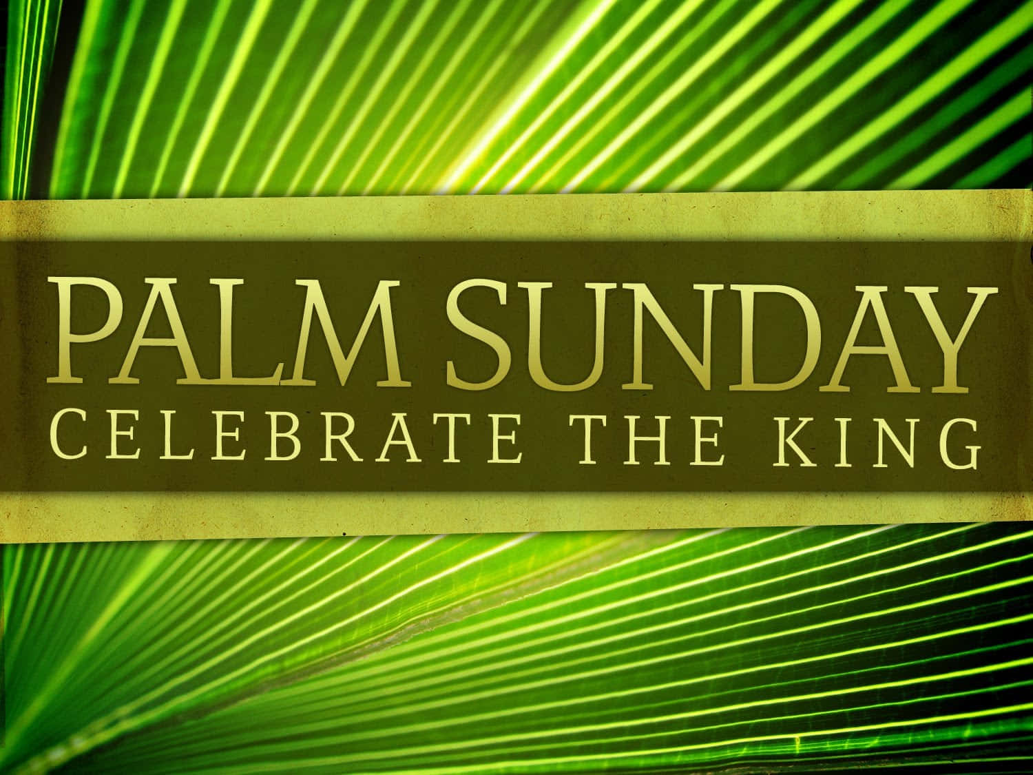 Palm Sunday Celebrate The King Text Background