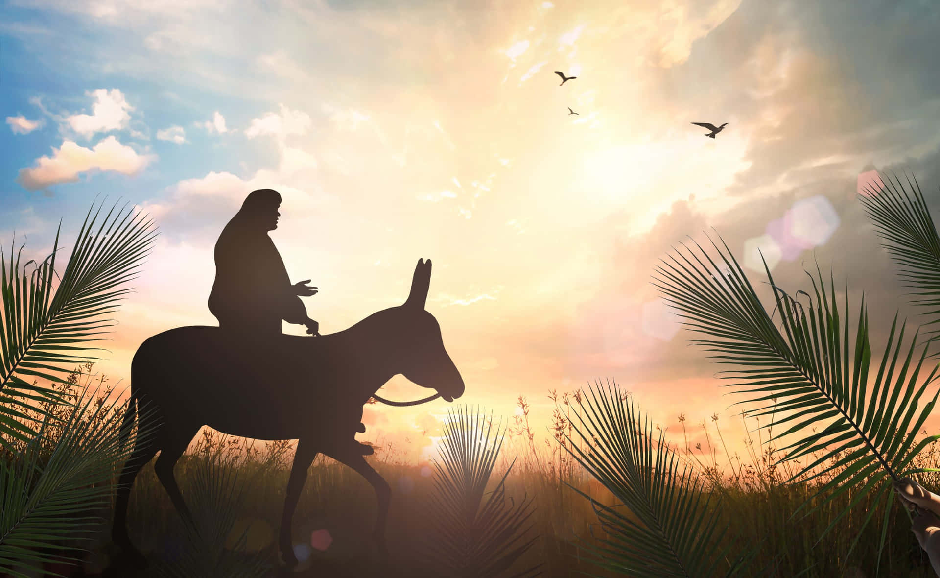 Jesus Christ On Donkey Silhouette For Palm Sunday Background
