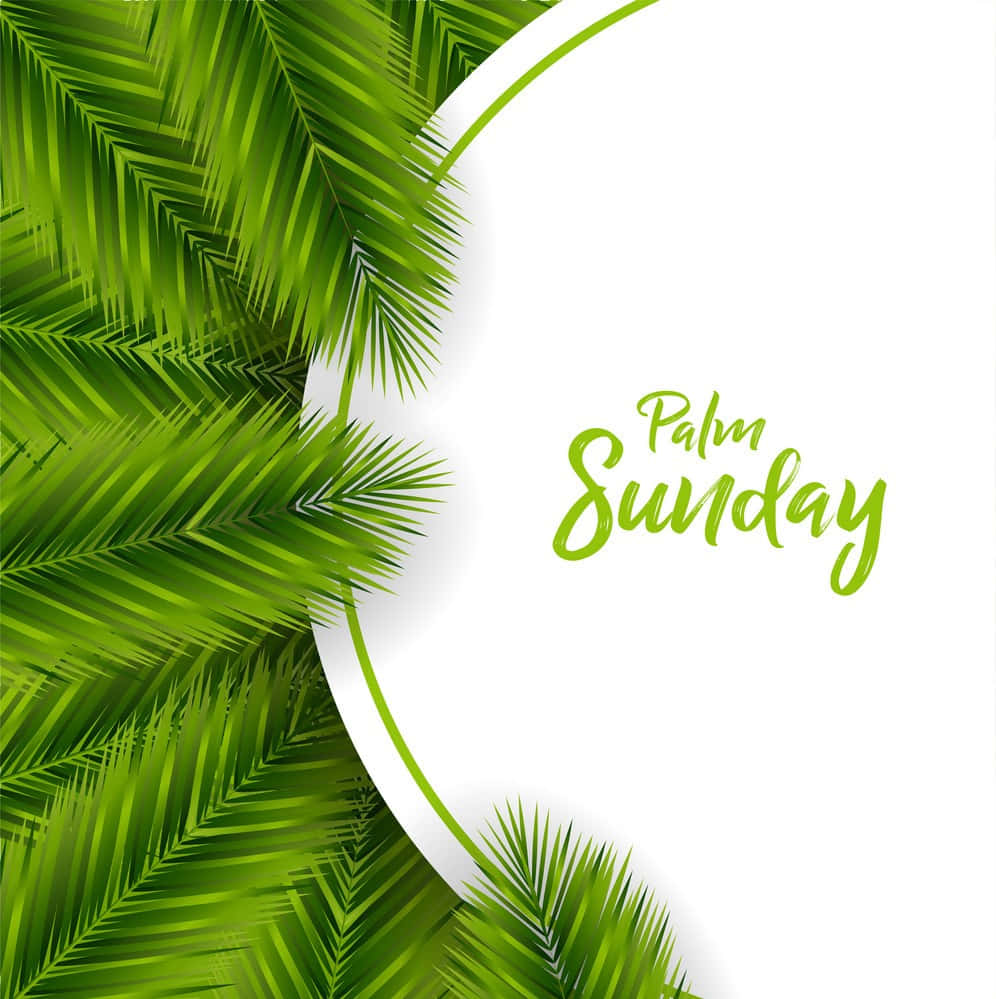 Minimalist Palm Sunday Text Background