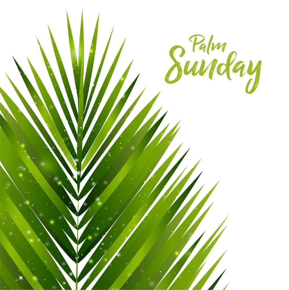 Delightful Palm Sunday Text Background