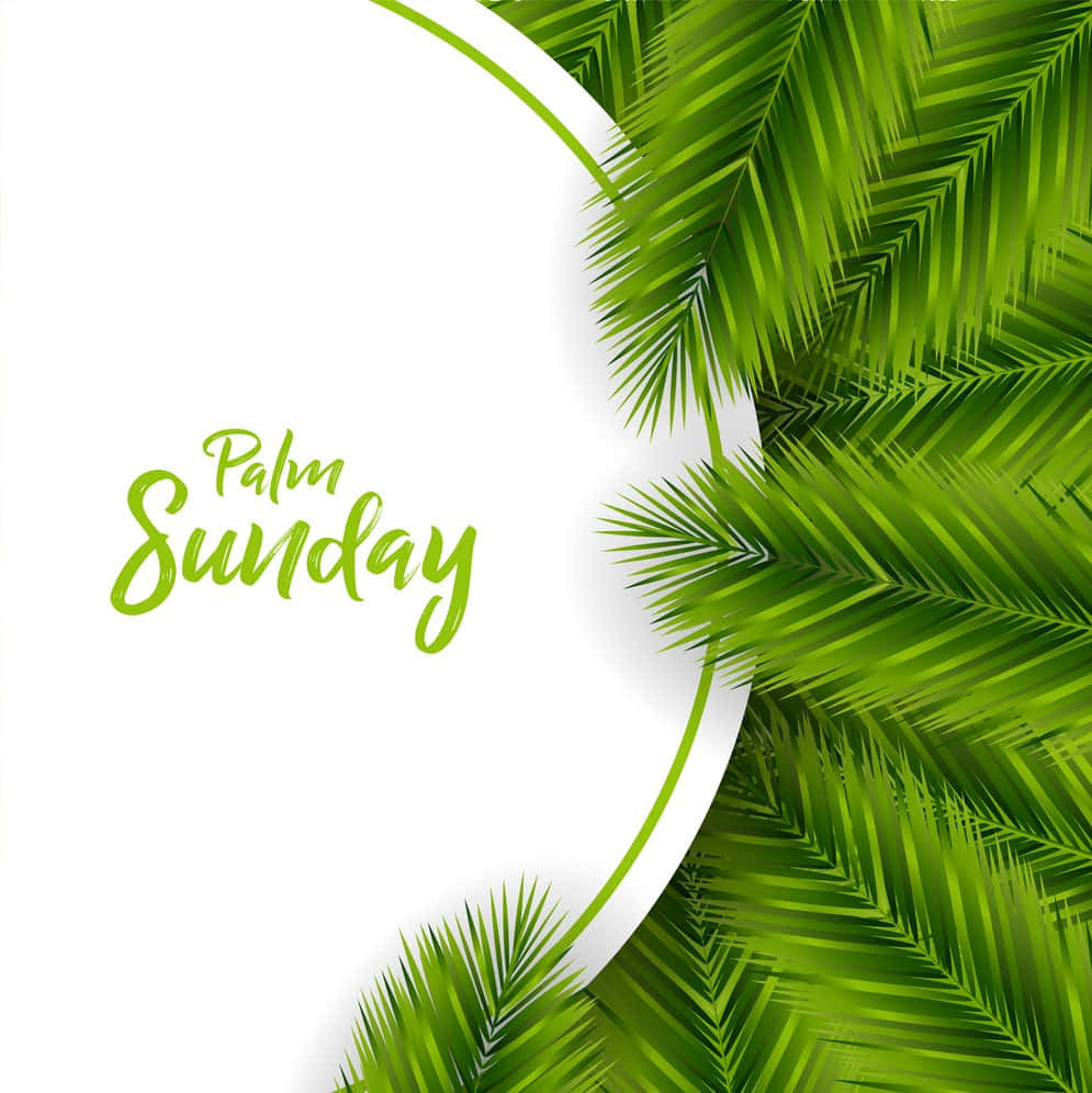 Amazing Palm Sunday Text Background