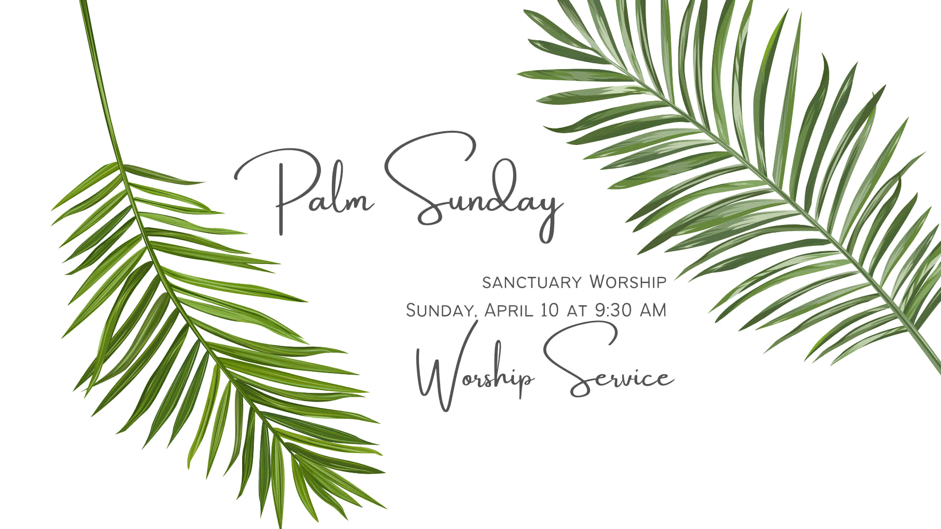 Nice Palm Sunday Worship Service Background