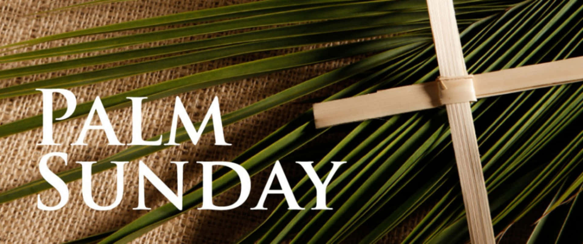 Rejoicing Palm Sunday Picture