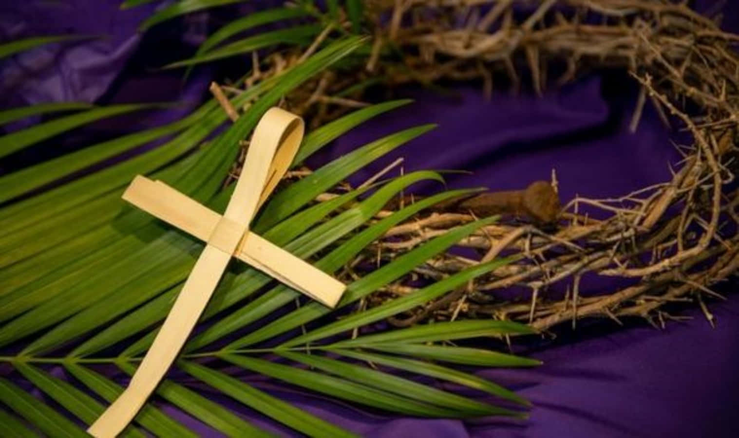 Happy Palm Sunday Picture