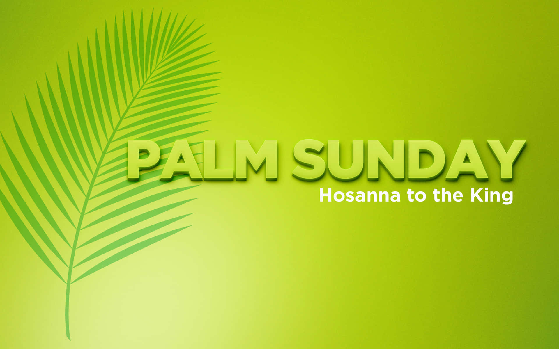 Simplified Palm Sunday Picture
