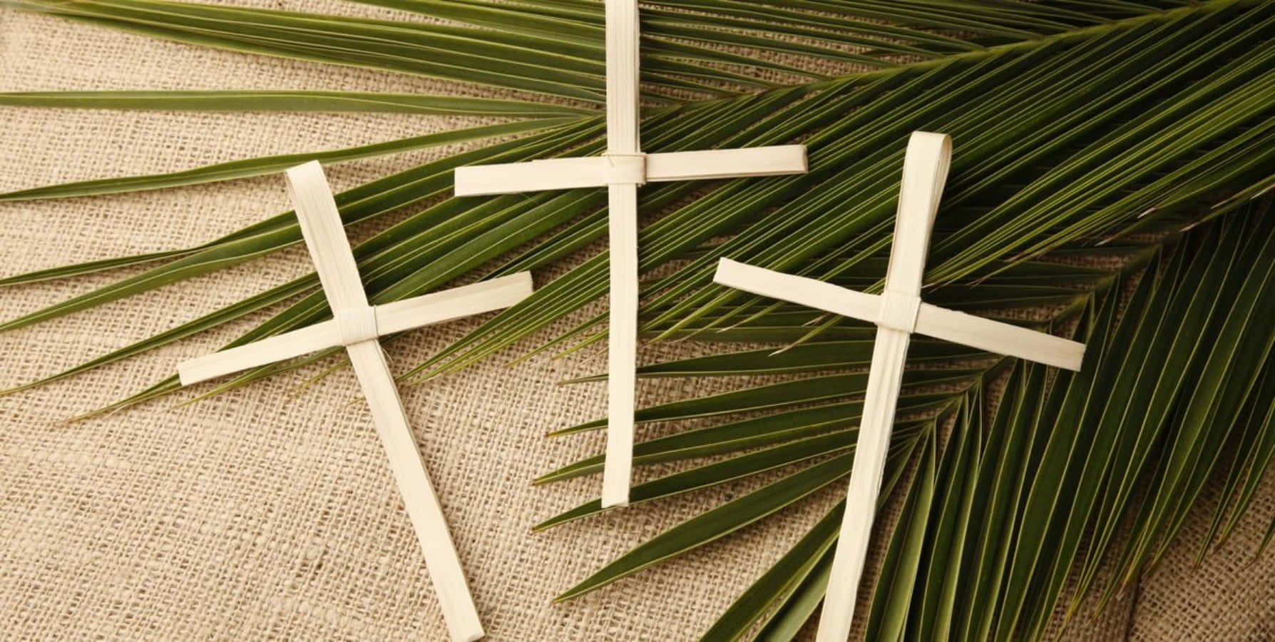 Casual Palm Sunday Picture