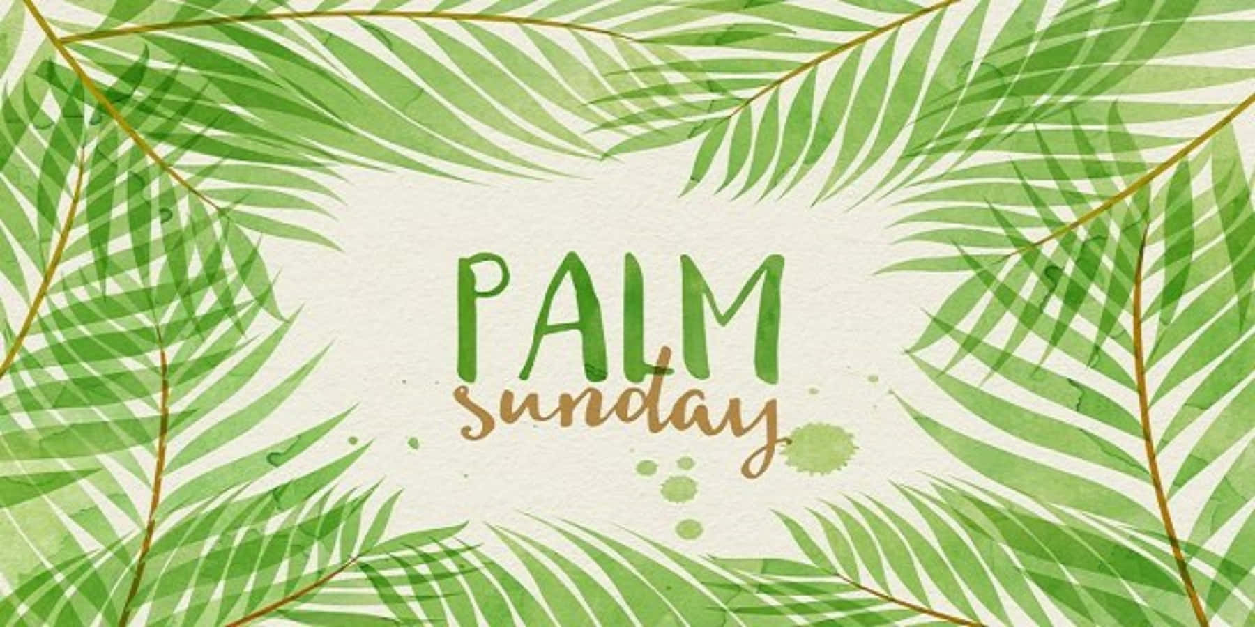 Palm Sunday Pictures 1800 X 900 Picture