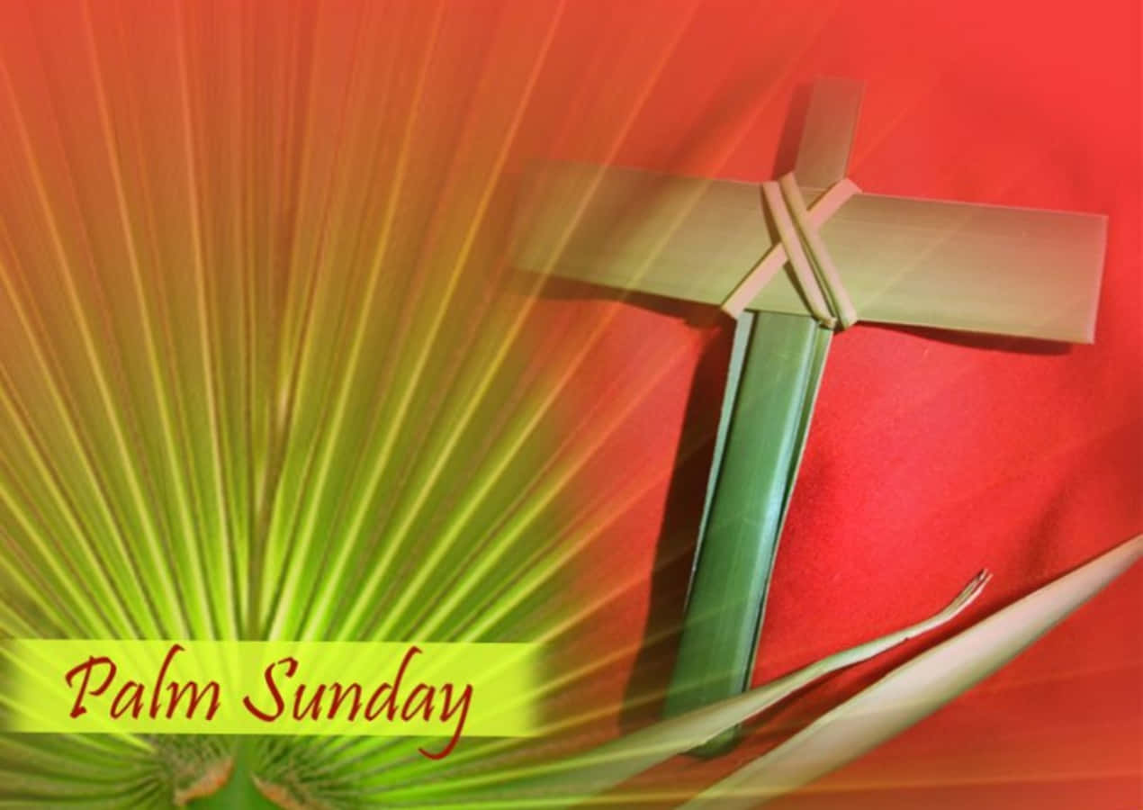 Cool Palm Sunday Picture