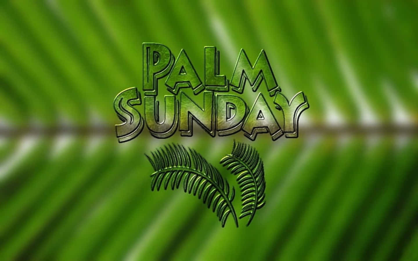 Attraktiv Palm Søndag Billede Tapet