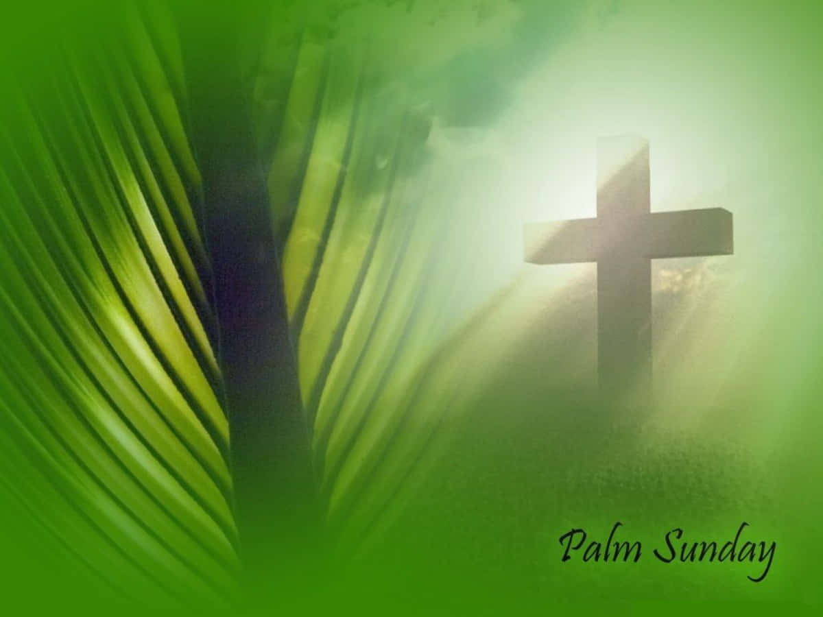 Sød Palmesøndagsbillede