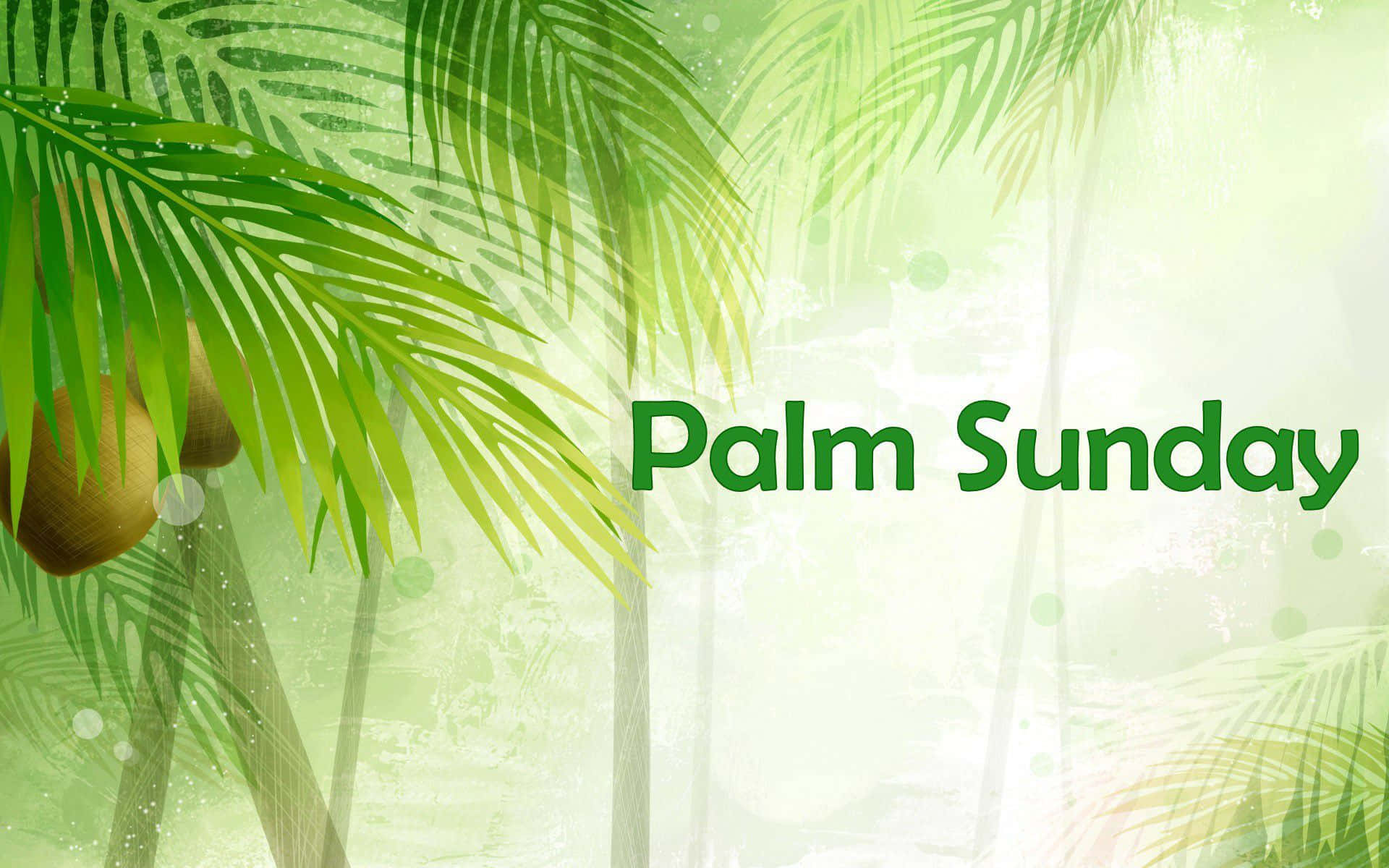 Transformering Palmsöndagsbild