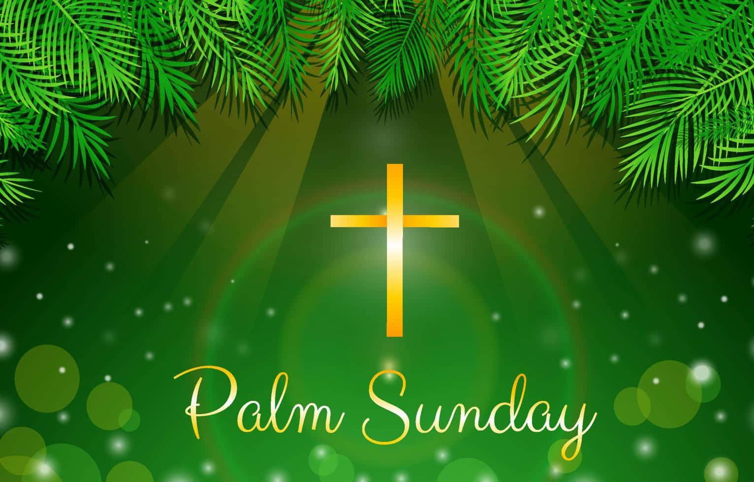 Lively Palm Sunday Picture