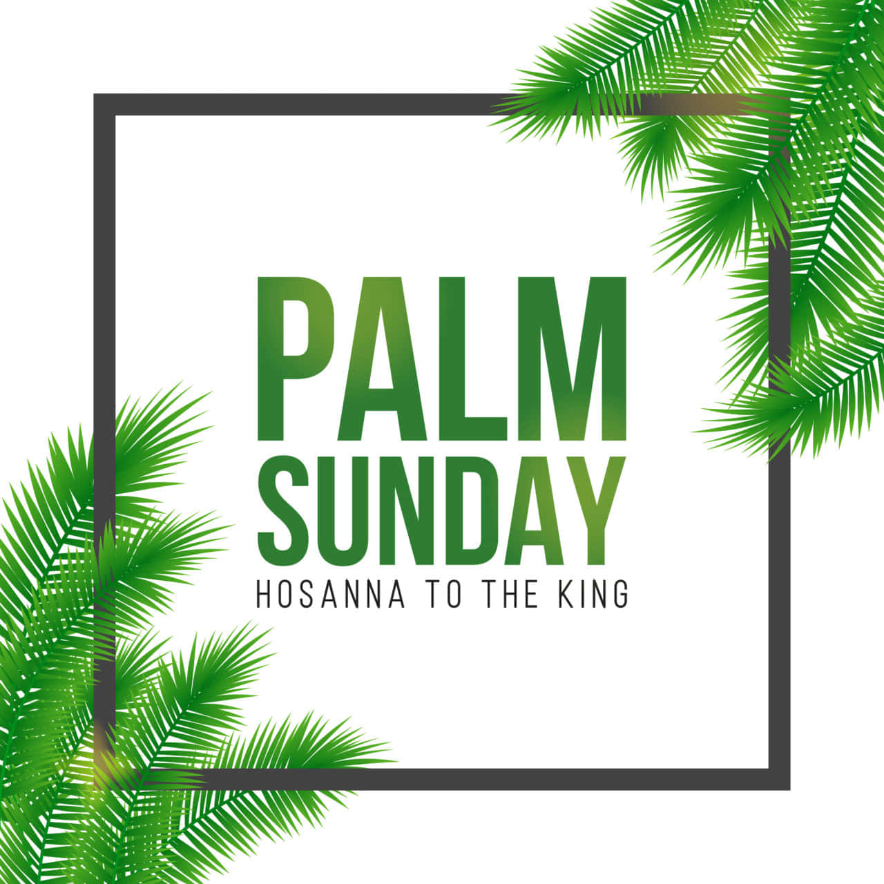 Artistic Palm Sunday Picture