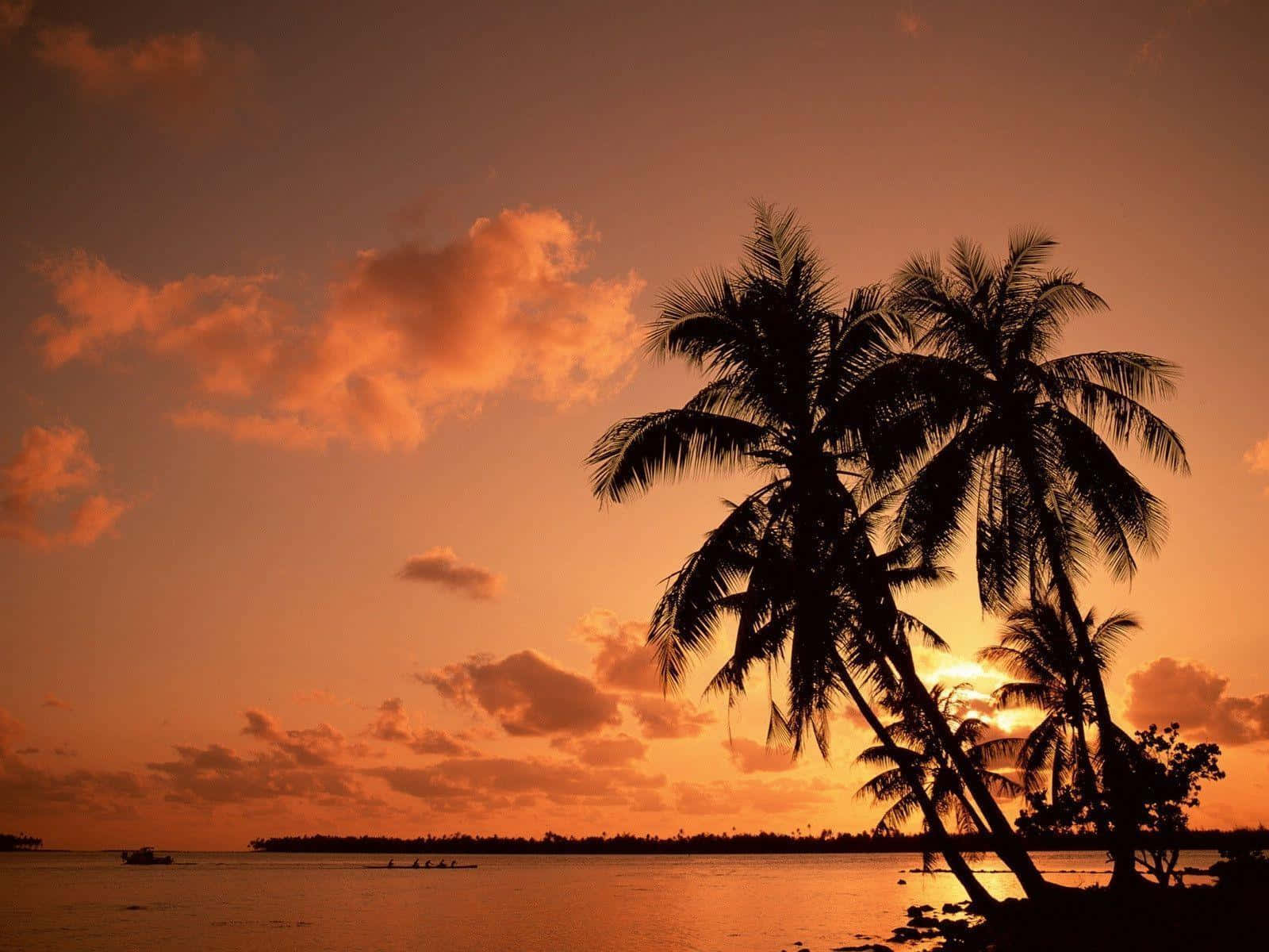 Atemberaubenderhintergrund Einer Tropischen Palme Vor Einem Tiefblauen Himmel