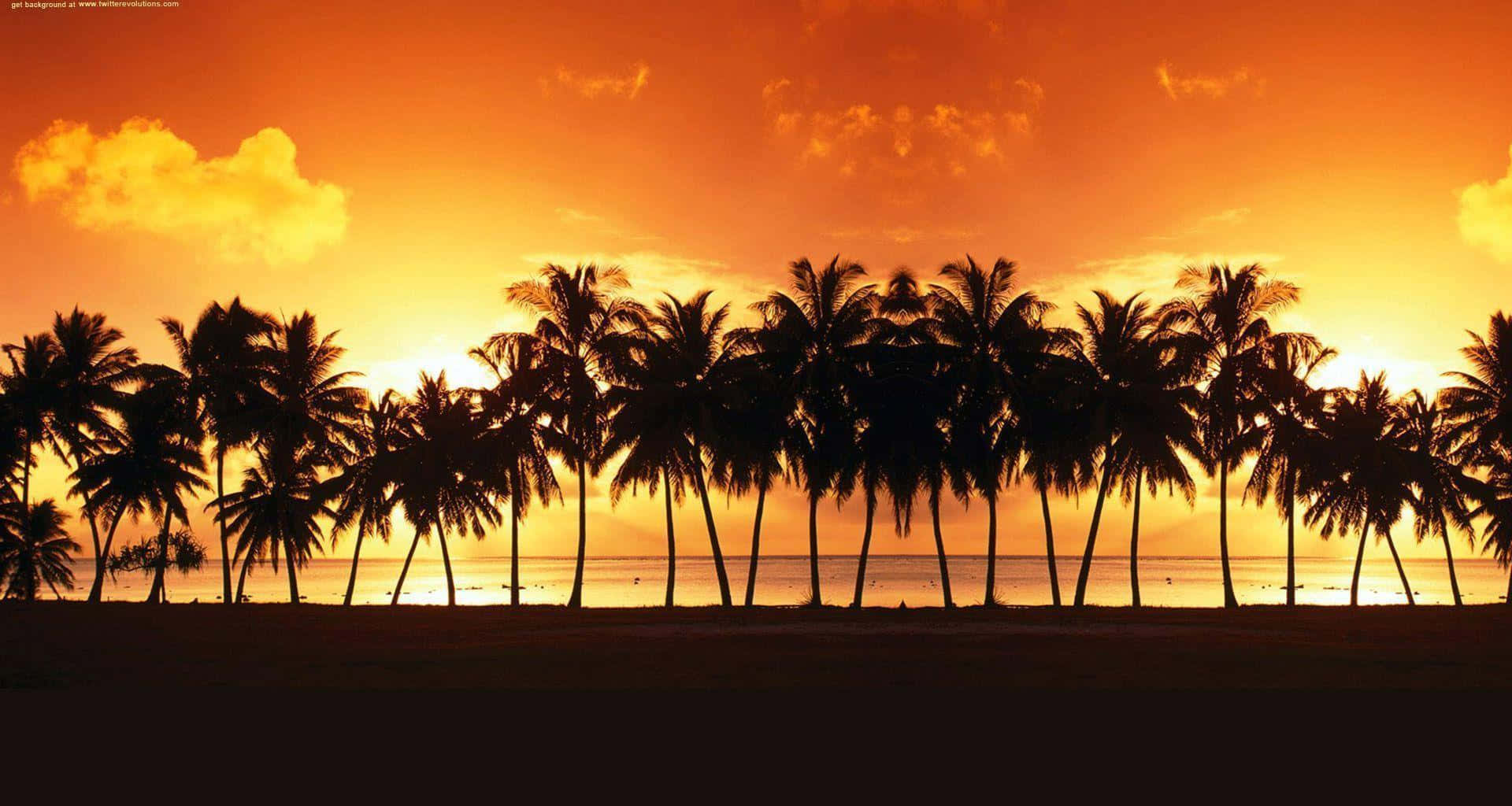 Entspannedich An Einem Strand Gesäumt Von Palmen.