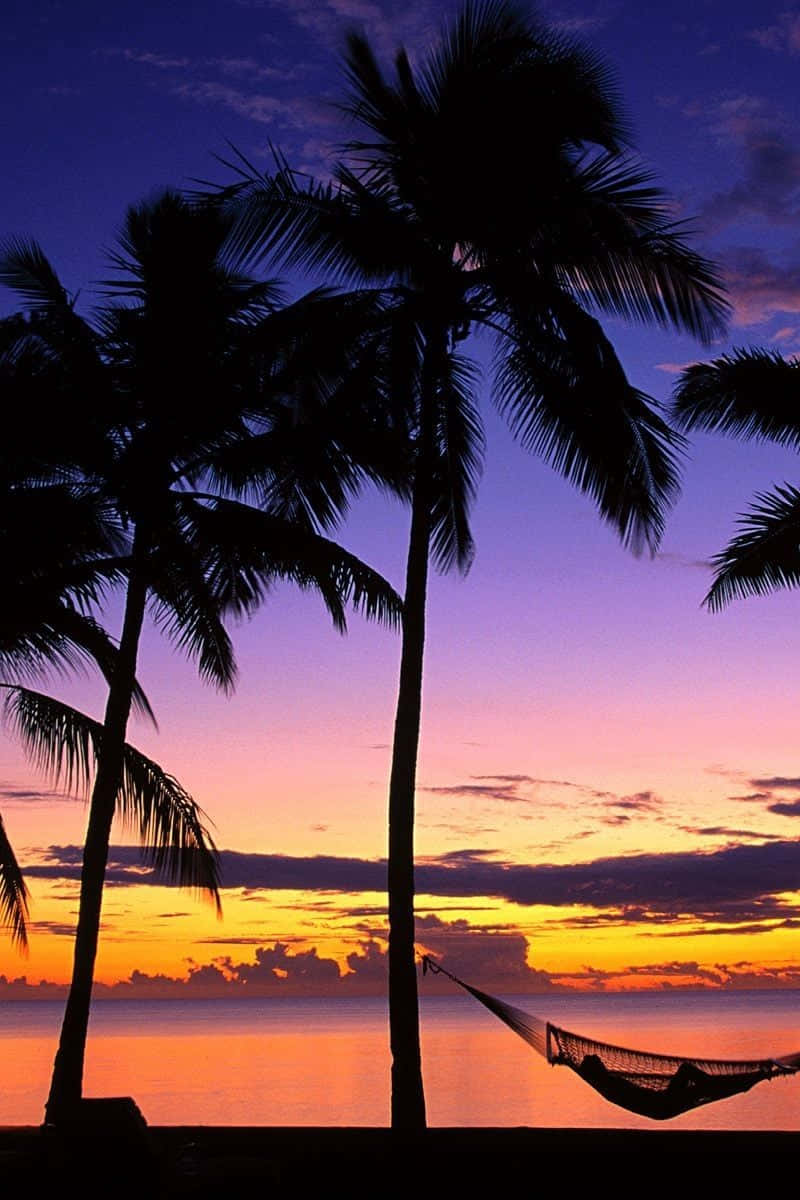 Palm Tree Beach Purple Orange Wallpaper