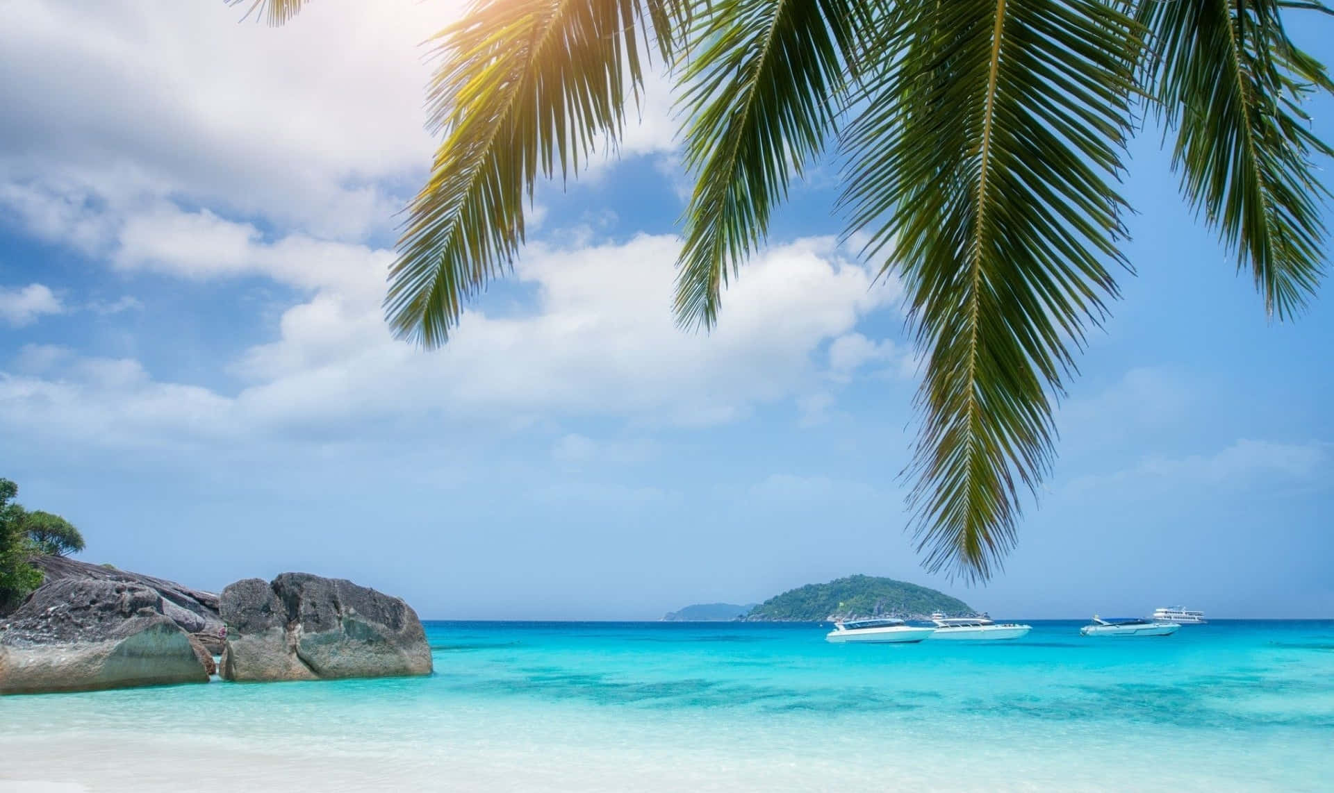 Nydende et lykkeligt tropisk paradis på en smuk palme strand. Wallpaper