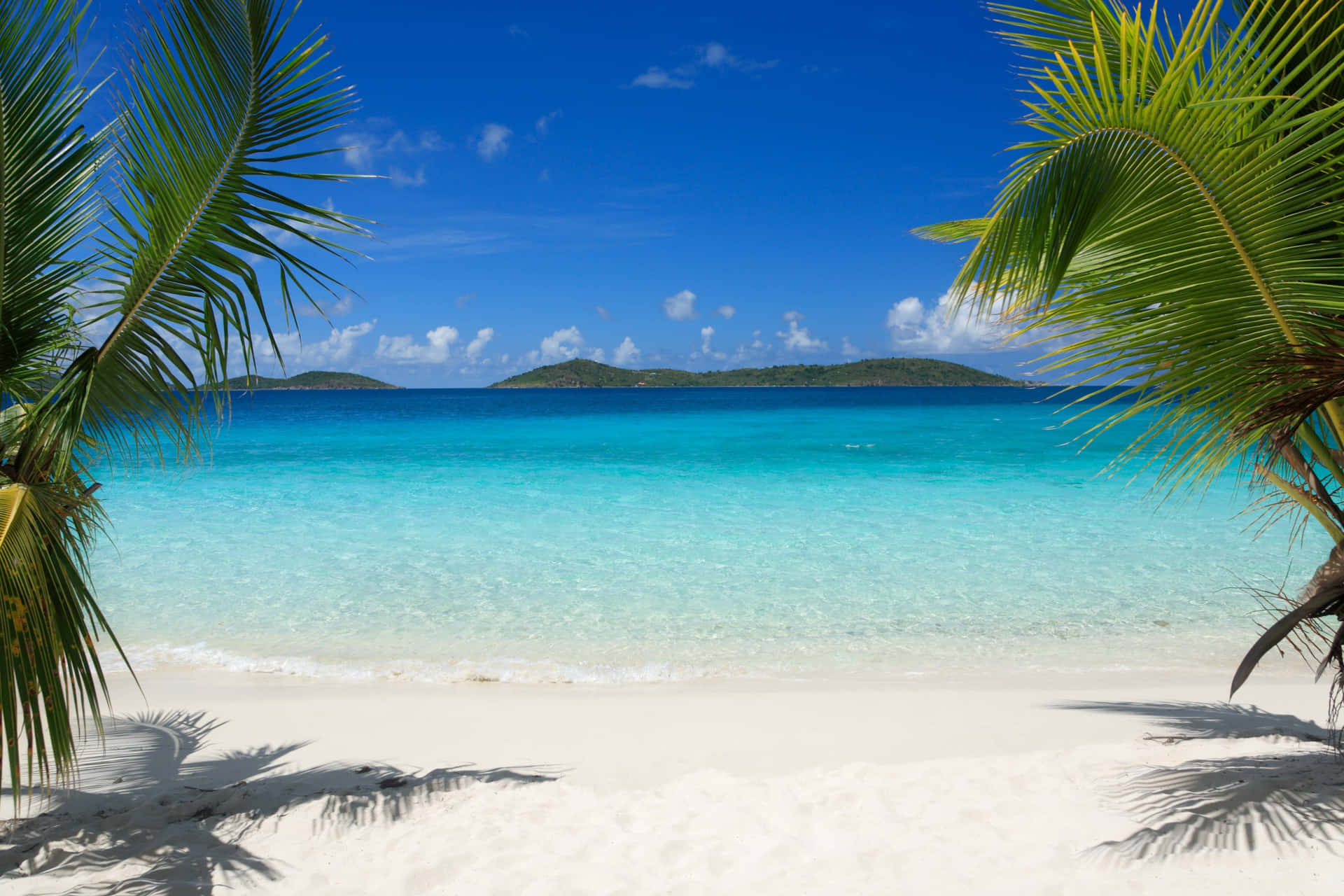 Take a break and relax on the palm tree beach! Wallpaper