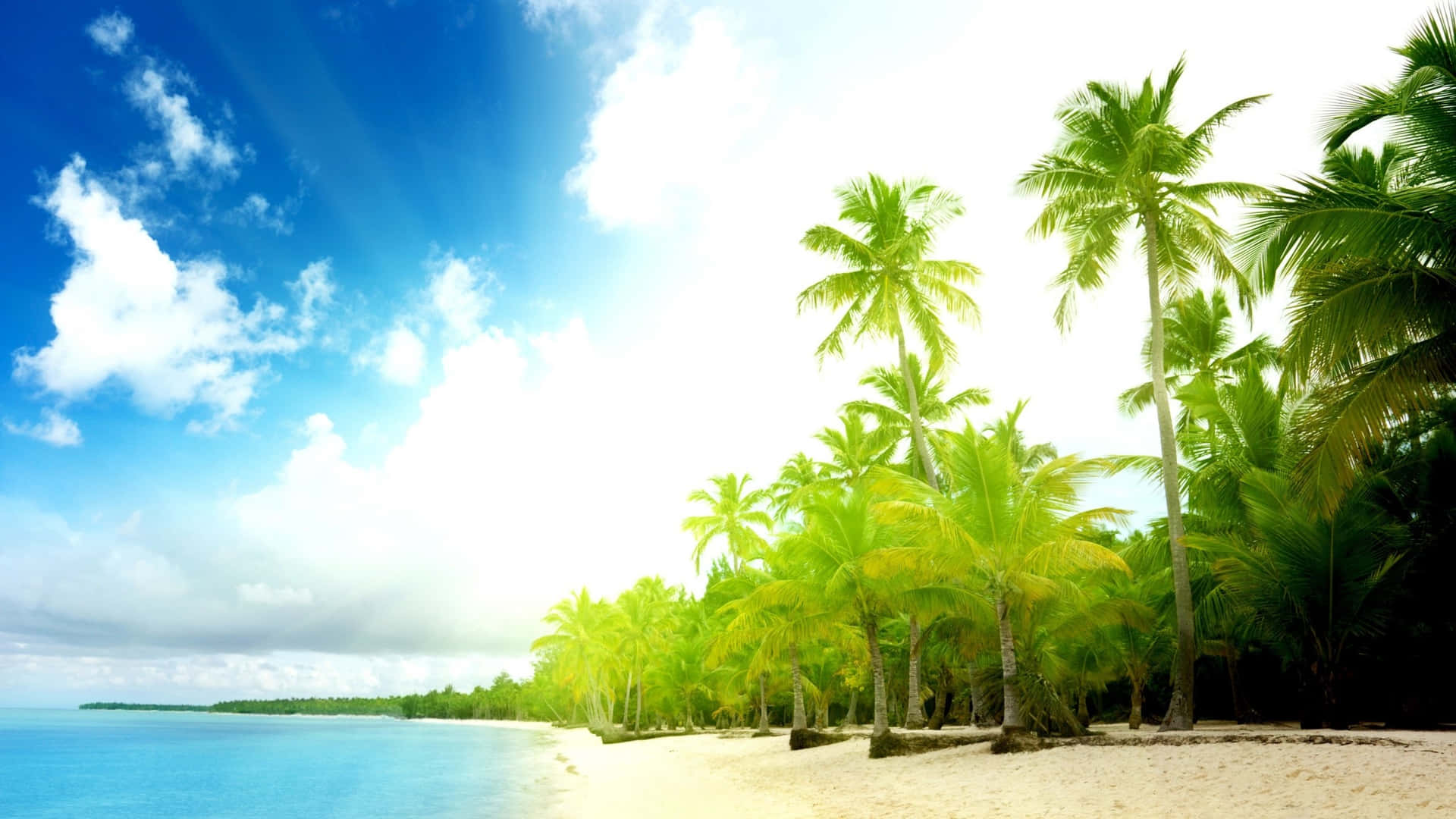 Enjoy the perfect tranquil getaway on Palm Tree Beach Wallpaper