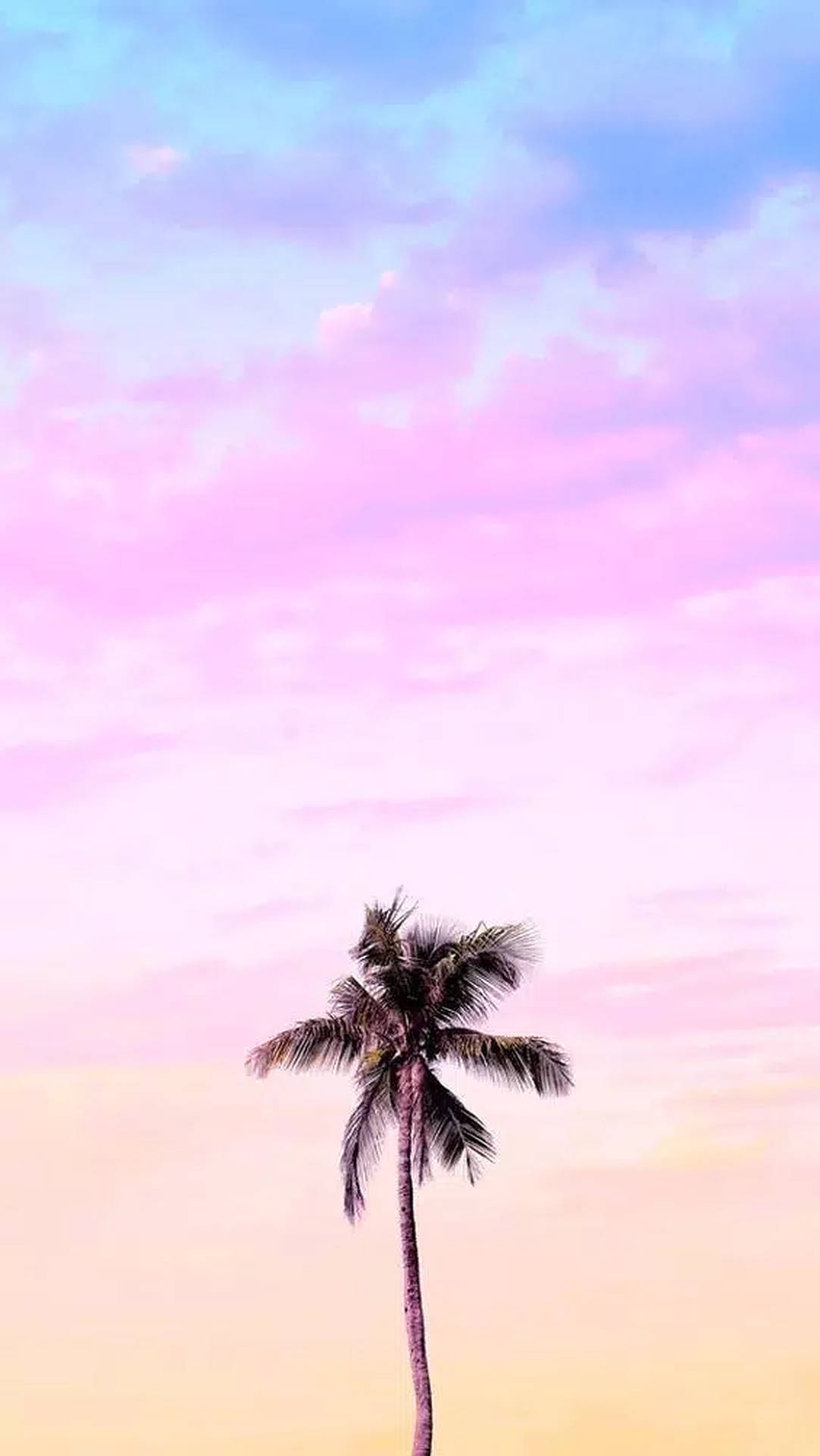 Hintergrundmit Farbenfrohen Pastelltönen Und Palmenbaum Wallpaper