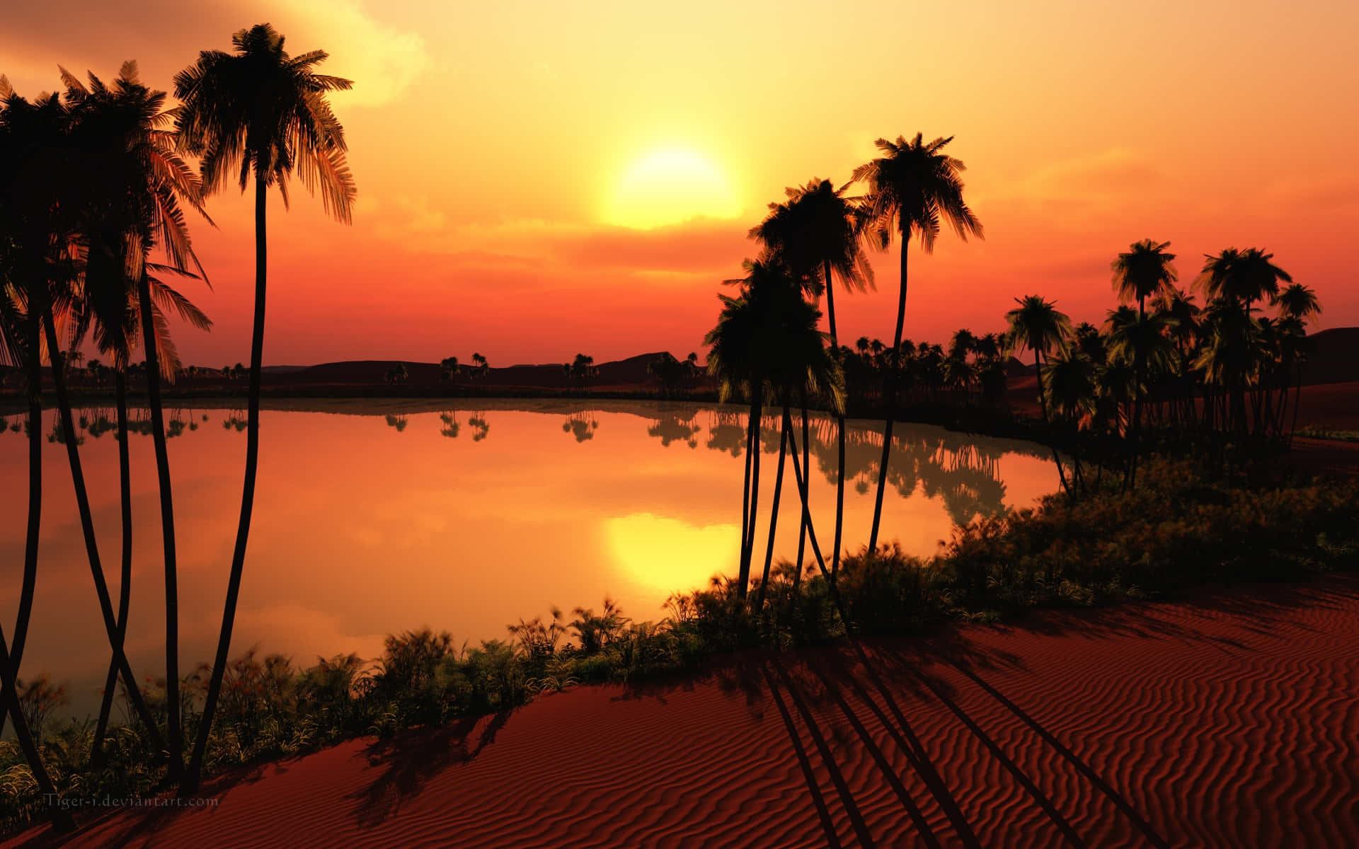 Enjoy the beautiful palm tree view on your desktop Wallpaper