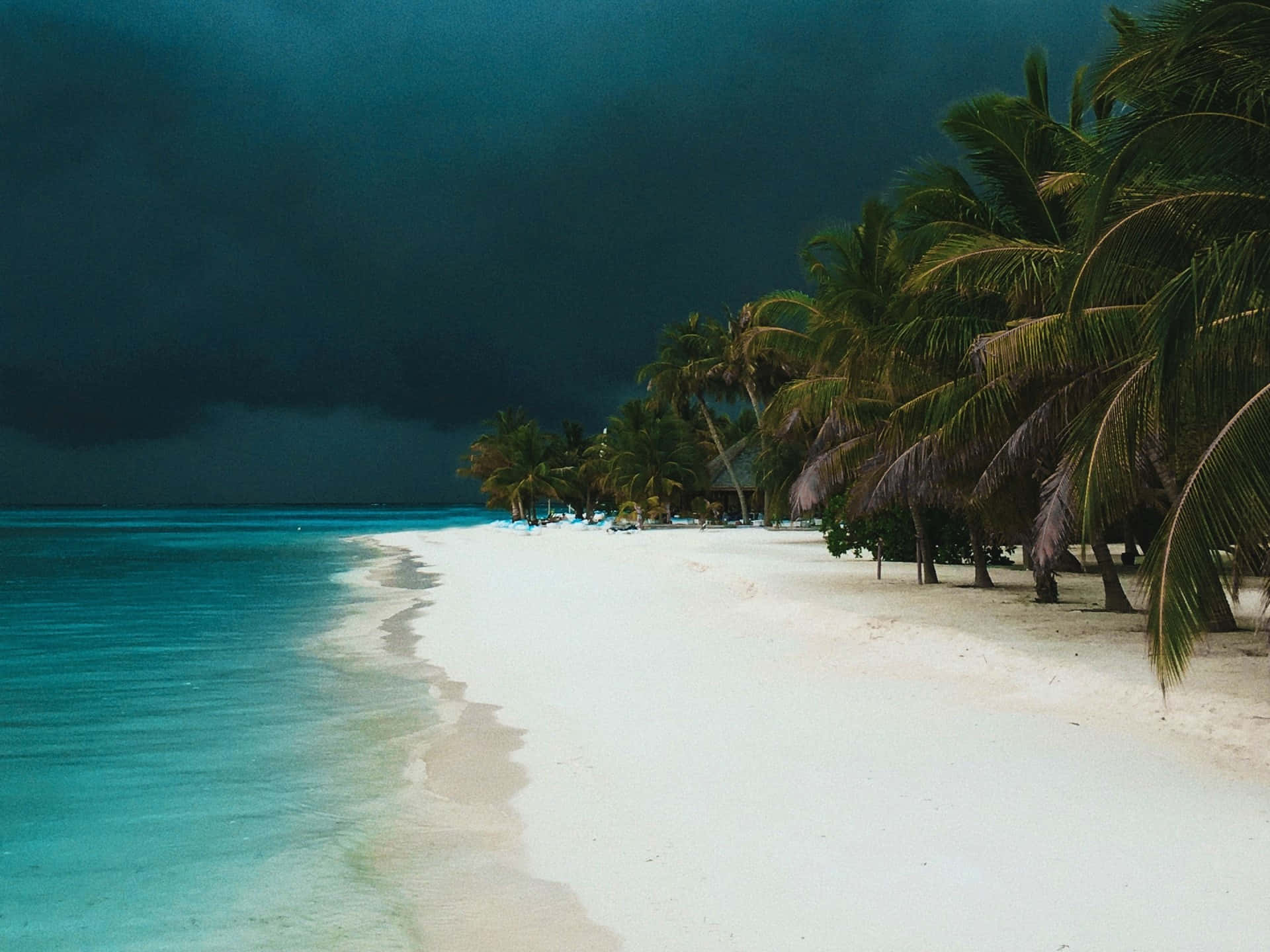 Einmakelloser, Von Der Sonne Beschienener Strand Mit Kristallklarem Wasser Und Einer Tropischen Palme. Wallpaper