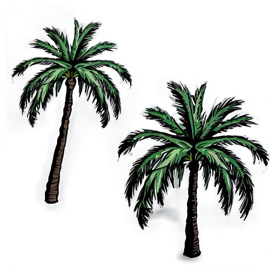 Palm Tree Illustration Png 43 PNG