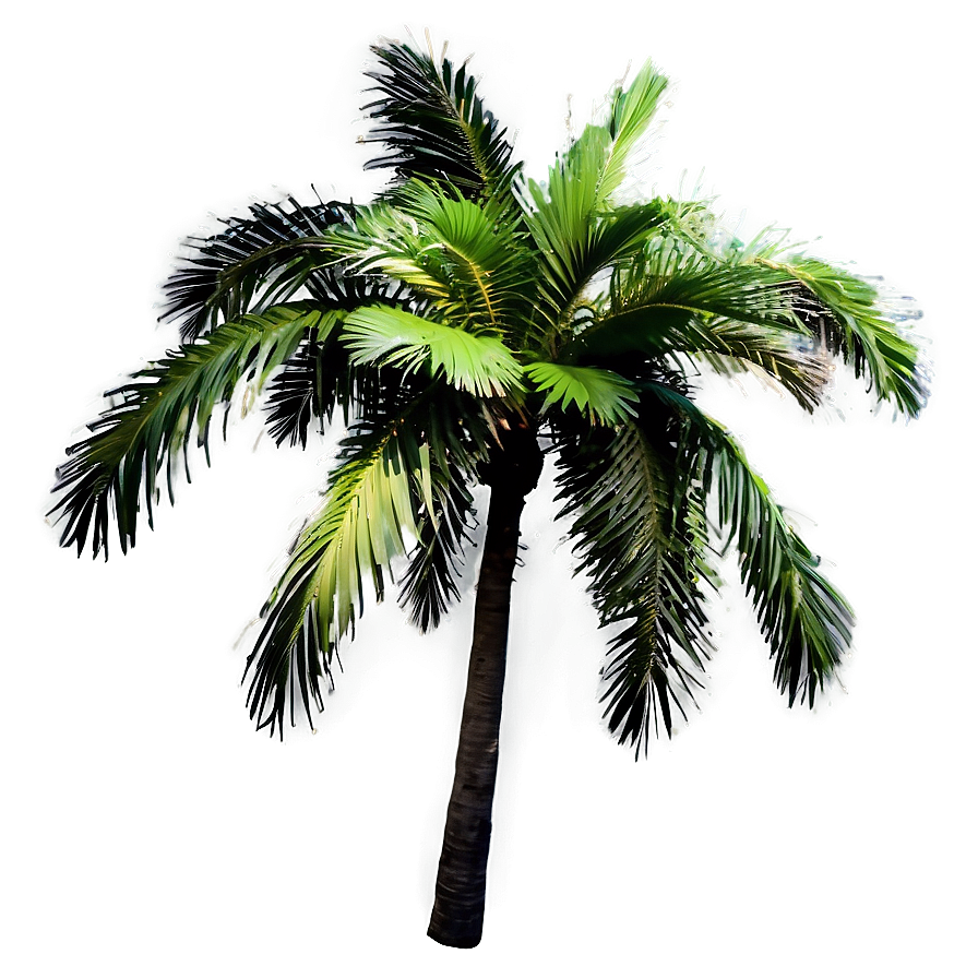 Palm Tree Oasis Png 04292024 PNG