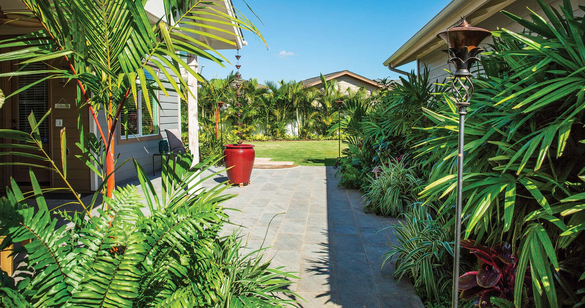 Oplev ro og afslapning med en luksuriøs grøn palme træ tapet.