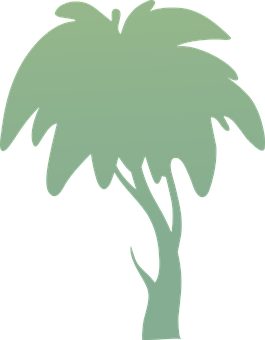 Palm Tree Silhouette PNG