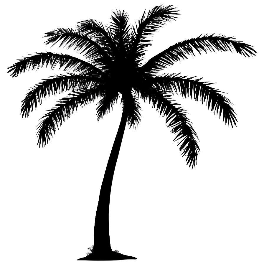 Palm Tree Silhouette Art Png 98 PNG