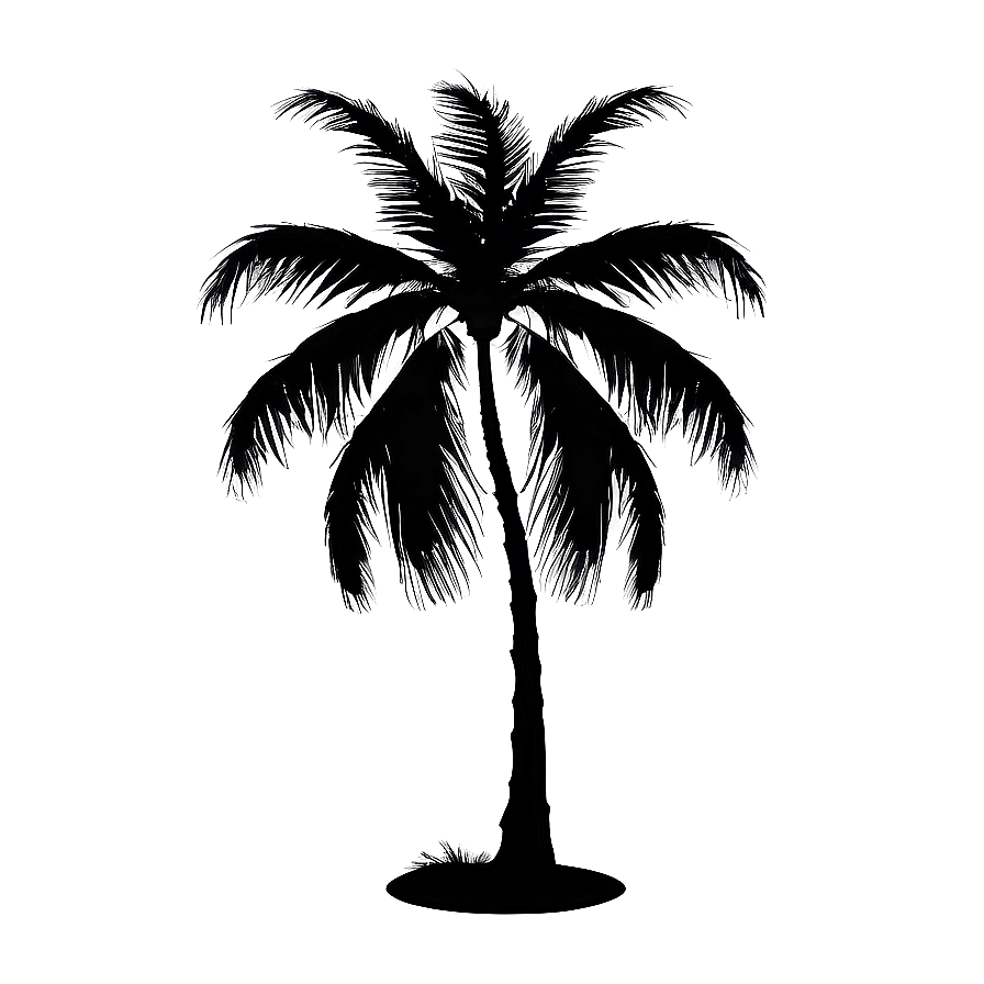 Palm Tree Silhouette D PNG
