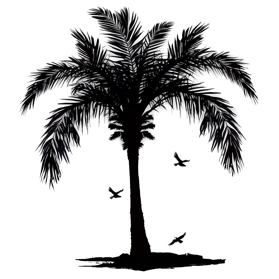 Palm Tree Silhouette With Birds Png Rda PNG