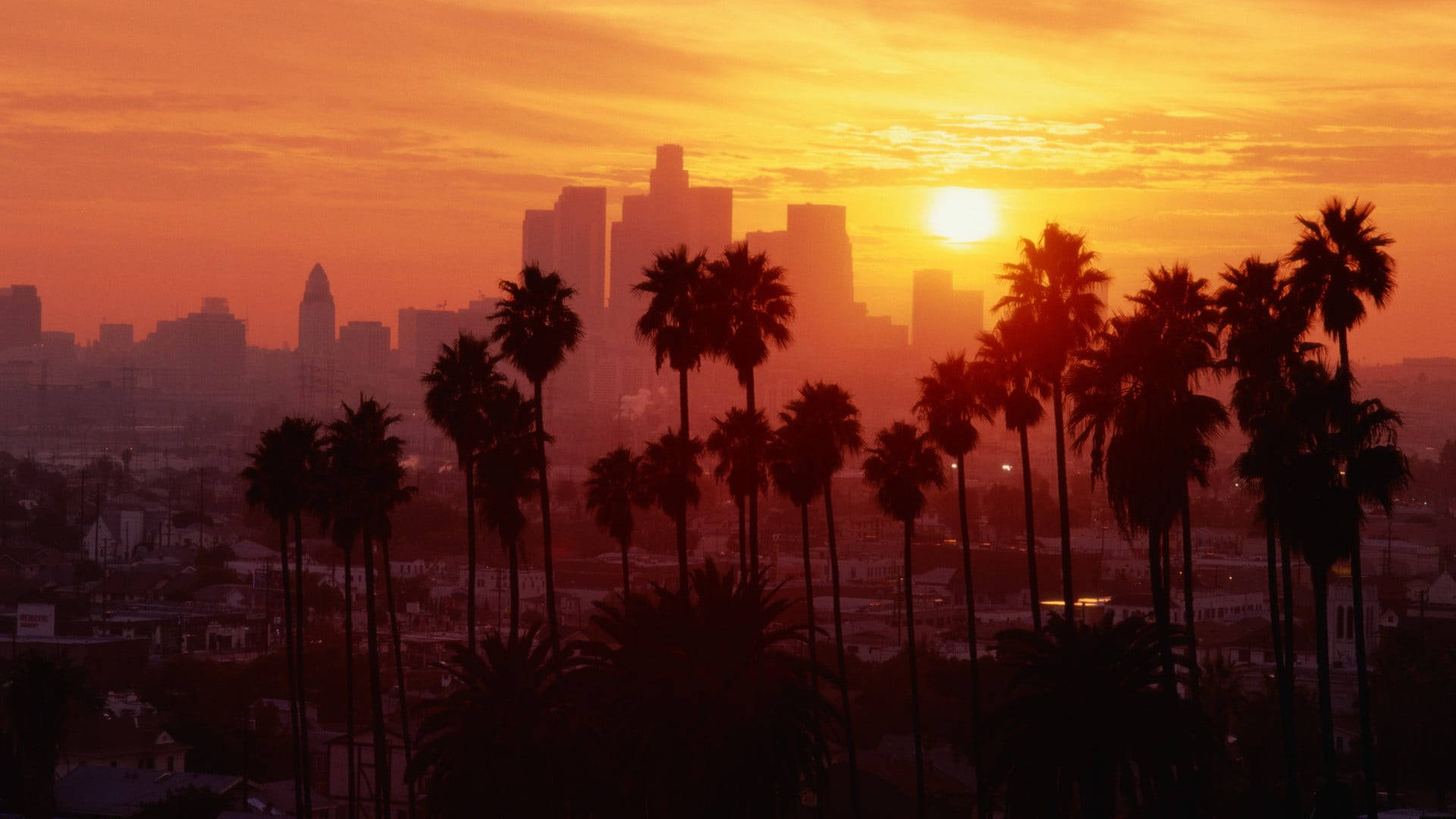Palm Tree Sunset Boulevard Los Angeles Wallpaper