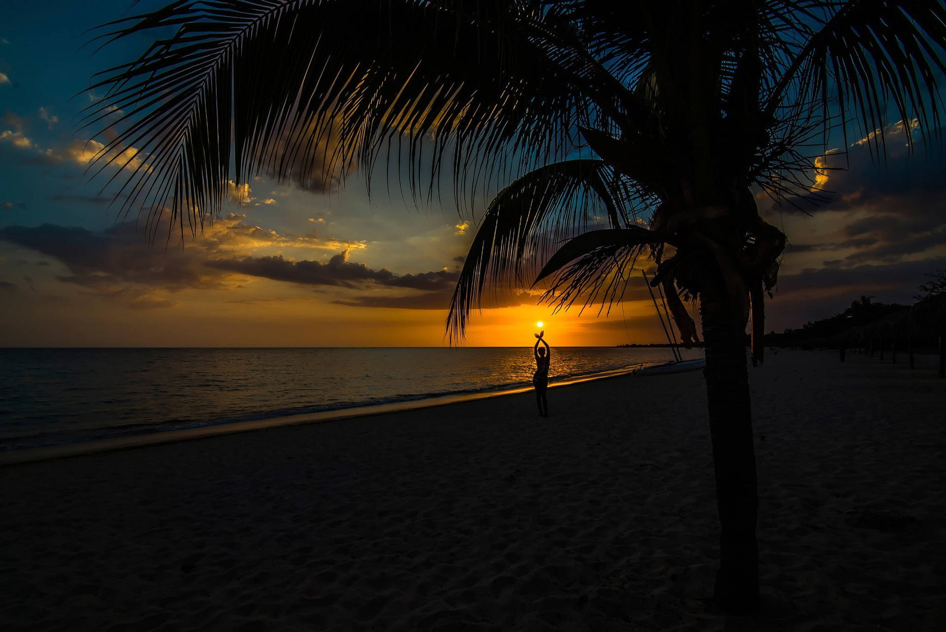 Palm Tree Sunset Dark Picture