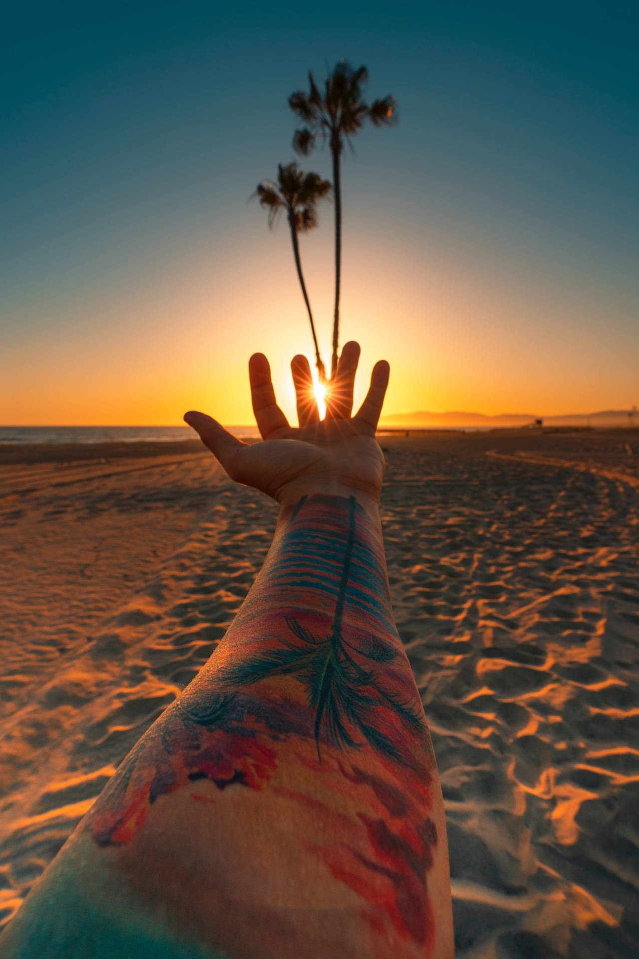 Palm Tree Sunset Hand Wallpaper