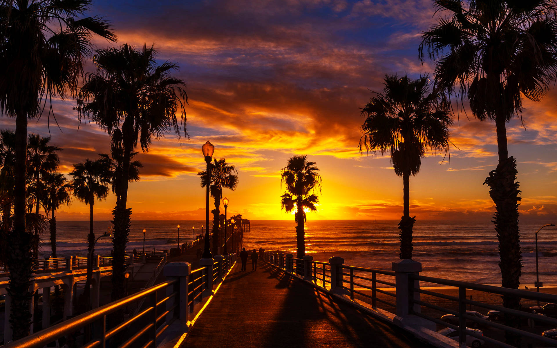 Palm Tree Sunset North County Wallpaper