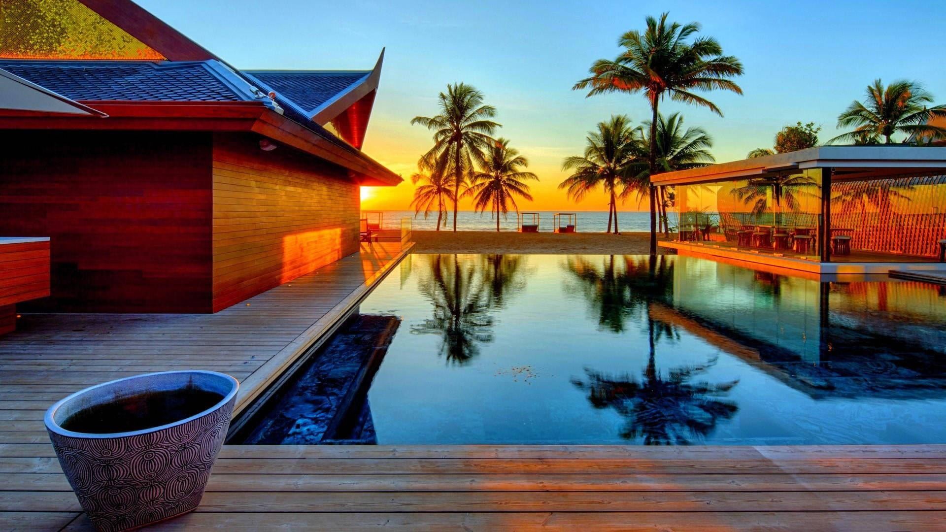 Palm Tree Sunset Pool House Wallpaper