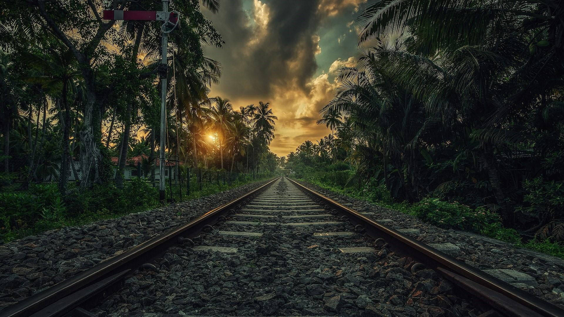 Palm Tree Sunset Railroad Track  Wallpaper